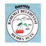 Bademli-belediyesi